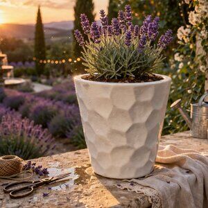 NWT Costa Farms Painted Terracotta Geometrical Design Flower Pot Planter Vase